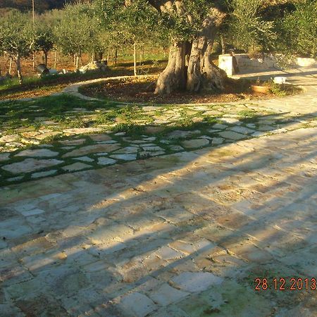 فيلا Trullo Montetrecarlini ألبيروبيللو الغرفة الصورة
