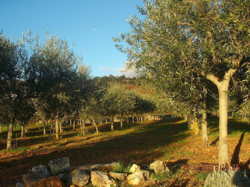 فيلا Trullo Montetrecarlini ألبيروبيللو الغرفة الصورة
